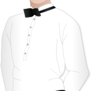 Waiter PNG