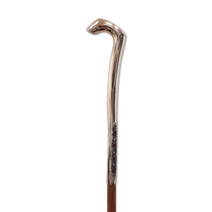 Walking stick PNG