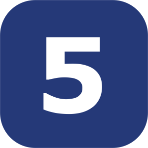 Number 5 PNG