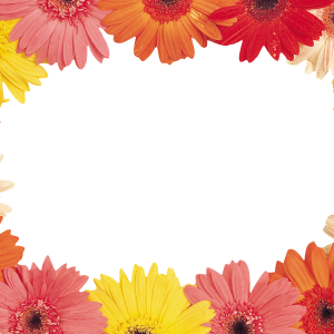 Floral frame PNG