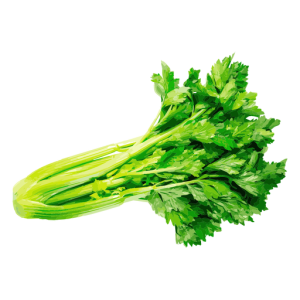 Celery PNG