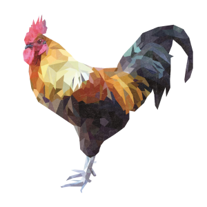 Cock PNG