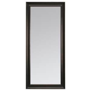 Mirror PNG