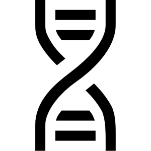 DNA PNG