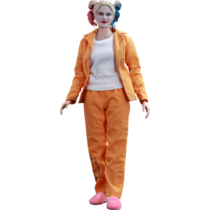 Prisoner PNG