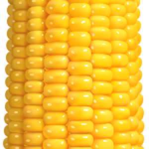 Corn PNG