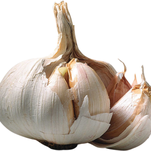 Garlic PNG