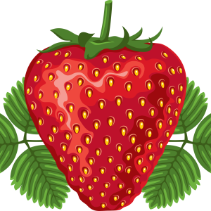 Strawberry with leaves PNG image