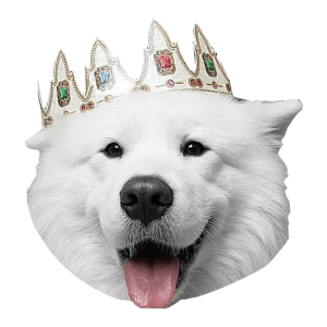 Samoyed PNG