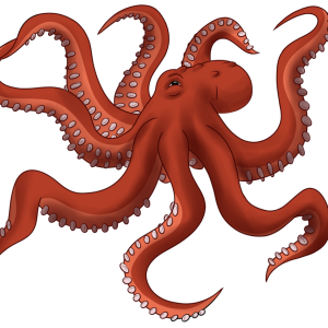 Octopus PNG