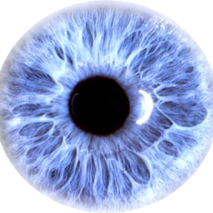 Eye PNG