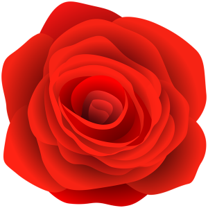 Rose PNG