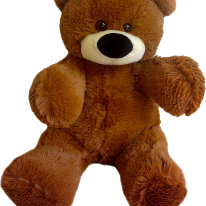 Teddy bear PNG