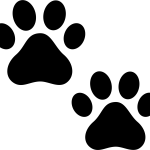Paw PNG