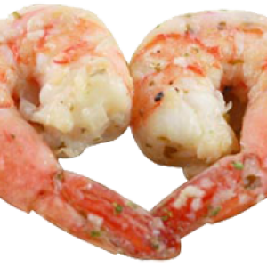 Shrimps PNG