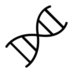 DNA PNG
