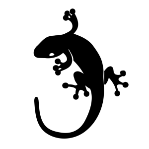 Gecko PNG