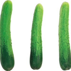 Cucumber PNG