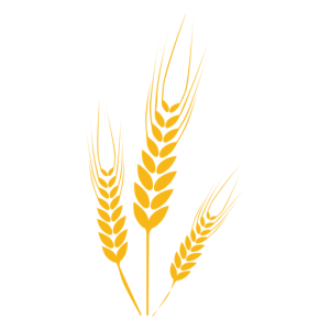 Wheat PNG