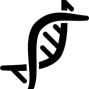 DNA PNG