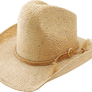 Hat PNG image