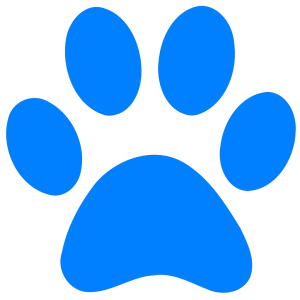 Paw PNG