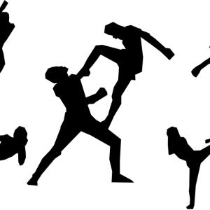 Muay Thai PNG
