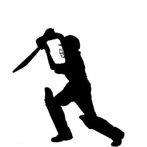 Cricket PNG