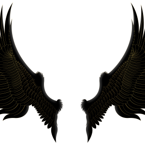 Wings PNG