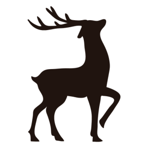 Santa Claus's reindeer PNG