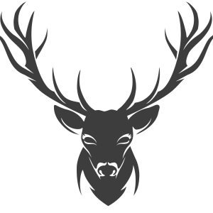 Moose, elk PNG