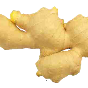 Ginger PNG