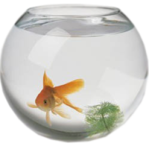 Aquarium PNG