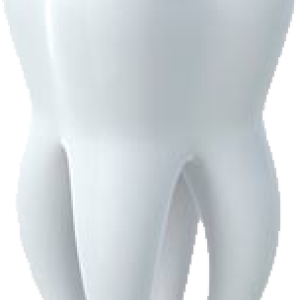 Tooth PNG image