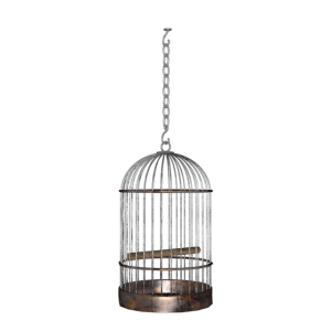 Cage bird PNG