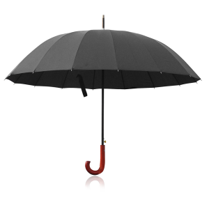Umbrella PNG