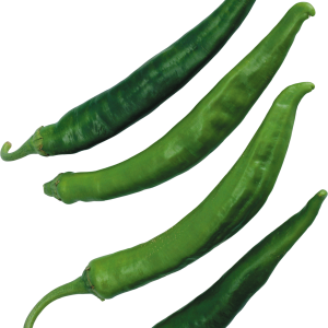 Chili pepper PNG