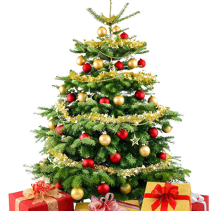 Christmas tree PNG