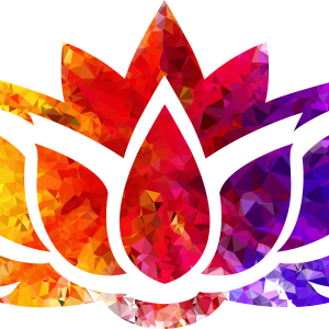 Lotus flower PNG