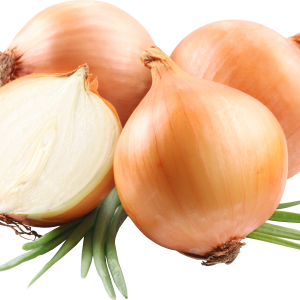 Onion PNG image, free download picture