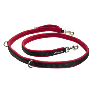 Leash PNG