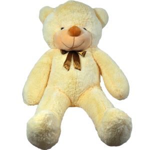 Teddy bear PNG