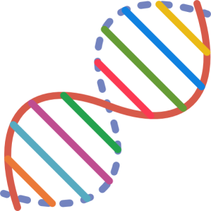 DNA PNG
