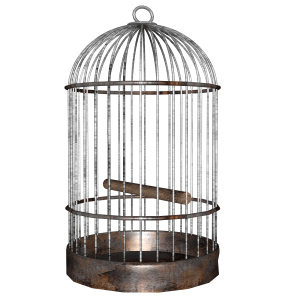 Cage bird PNG