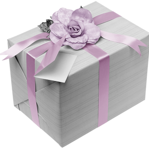 Gift box PNG
