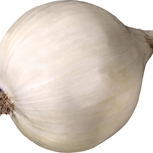 Onion PNG