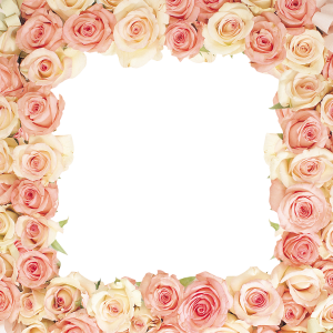 Floral frame PNG