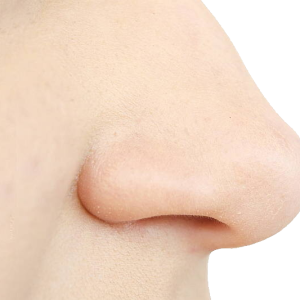 Human nose PNG