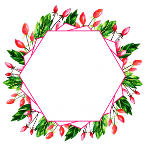 Floral frame PNG