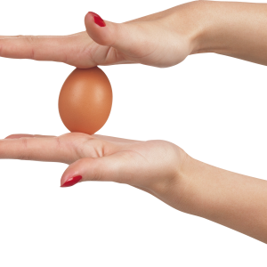 Egg in hands PNG image